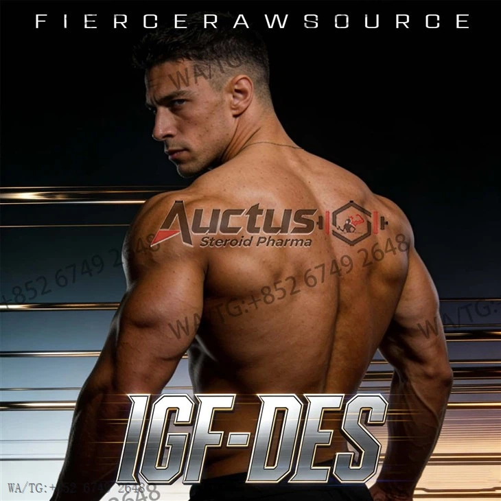 Premium High-purity Peptides IGF-DES suppliers