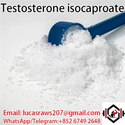 Testosterone Isocaproate CAS 15262 86 9